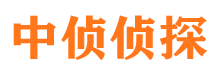 临桂市私家侦探